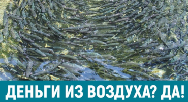 Журнал «Технополис Югры»