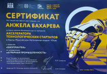 Акселератор2